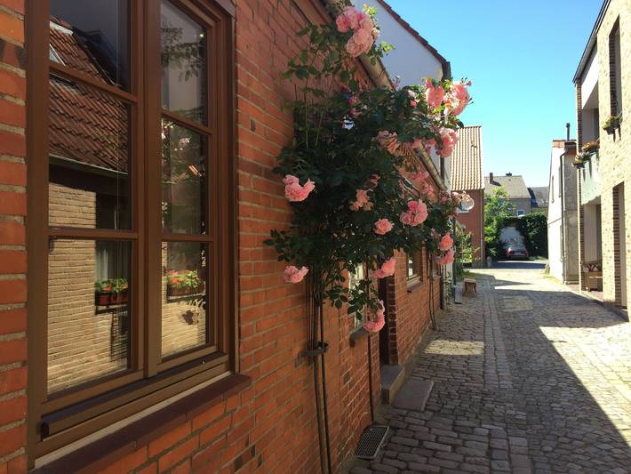 Ferienhaus für 5 Personen, mit Balkon in Eckernförde - 4