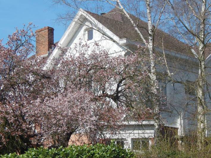 Gîte pour 2 personnes, avec jardin et vue à Binche - 3
