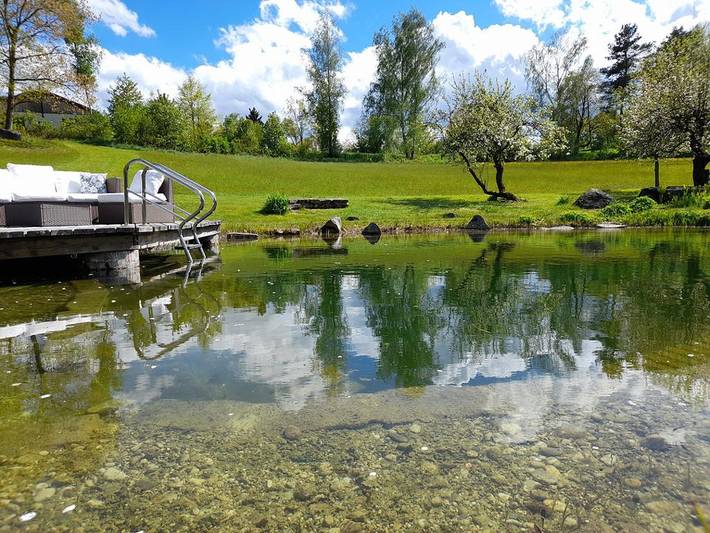 Ganze Wohnung, Ferienhaus Angel - Ferienhaus zum Wohlfühlen in Weitra, Waldviertel