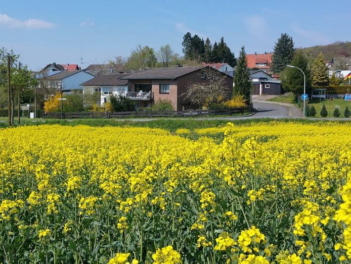 Ferienhaus für 3 Personen, mit Terrasse in Möhnesee - 3