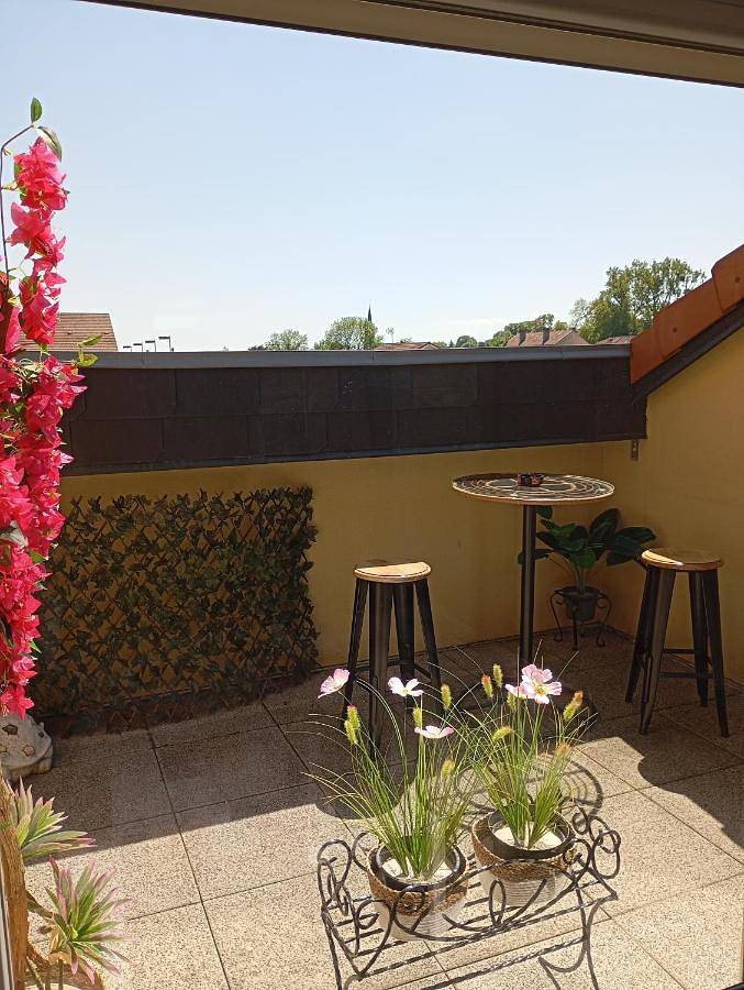 Gîte pour 4 personnes, avec terrasse à Woippy - 3