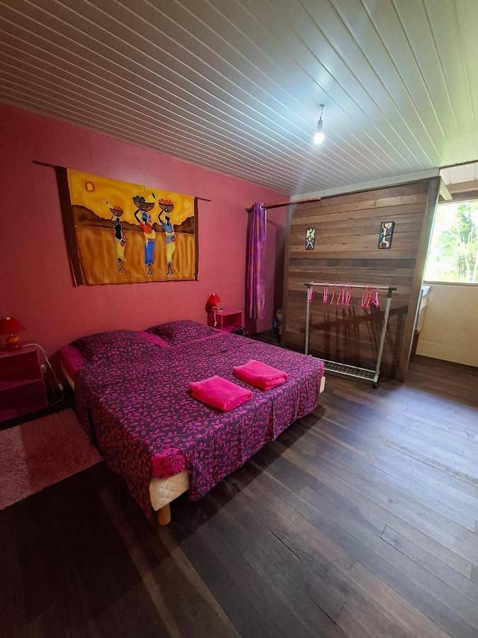 Maison de campagne pour 2 personnes, avec jardin ainsi que vue et terrasse, animaux acceptés dans Guyane française - 2