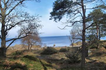 Ferienhaus für 8 Personen in Listed, Svaneke, Bild 2