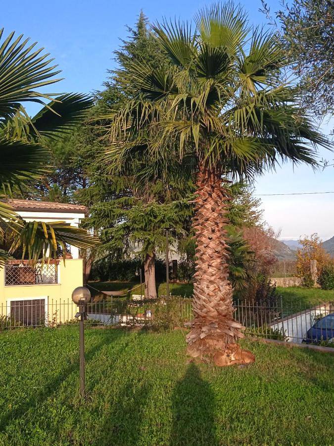 Bed and Breakfast für 4 Personen, mit Terrasse und Garten, mit Haustier - 1