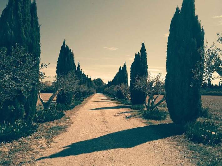 Location de vacances pour 2 personnes, avec terrasse et jardin à Maillane - 3