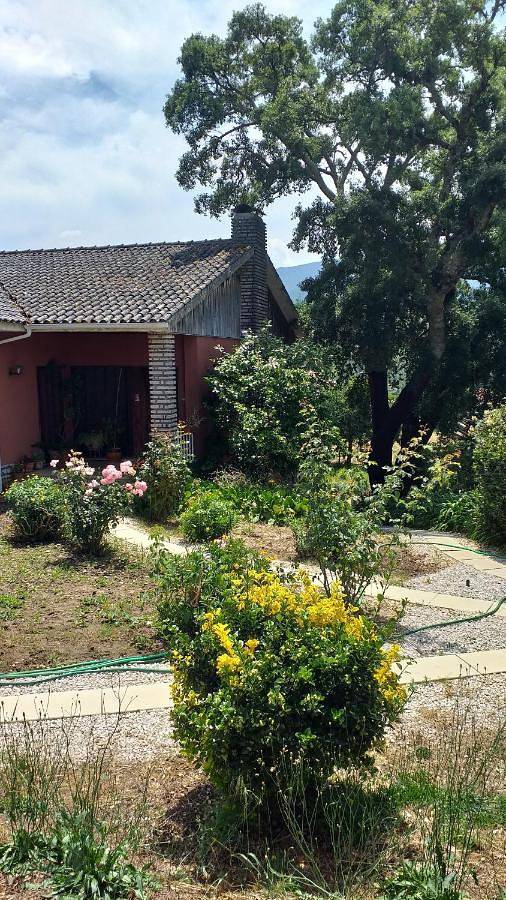 Apartamento de férias inteiro, Double Room with Private Bathroom in Lousã, Distrito de Coimbra