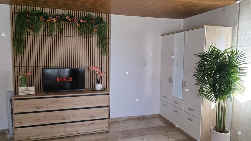 Ferienwohnung für 4 Personen, mit Terrasse und Ausblick in Colmberg - 4