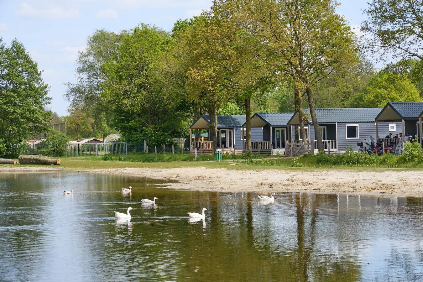 Camping ’t Veld — Strandchalet met hottub | 4 personen in Hardenberg, Regio Zwolle
