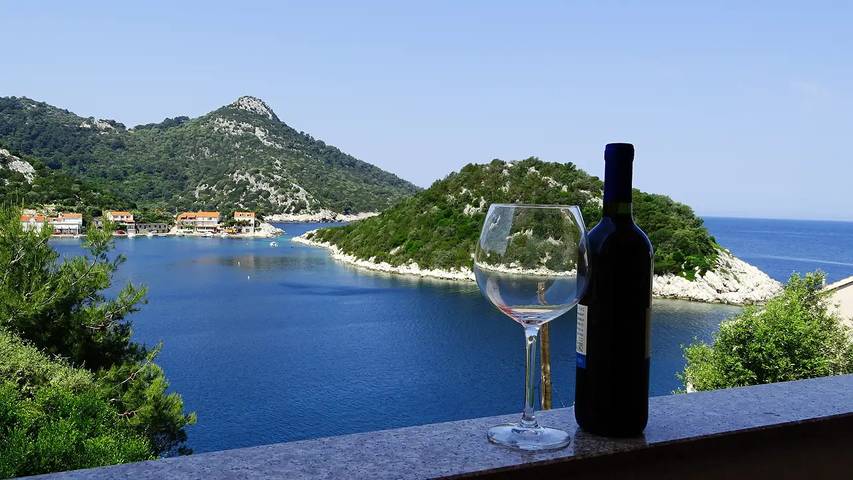 Gîte pour 6 personnes dans Lastovo