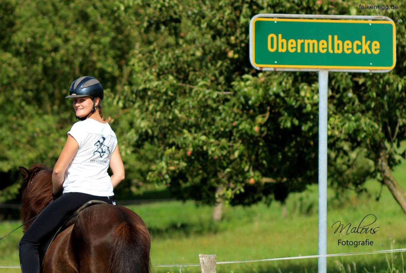 Feriendorf Falkenegg - Ferienhaus Falkenegg, 200qm, 4 Schlafzimmer, max. 12 Personen in Lennestadt, Sauerland