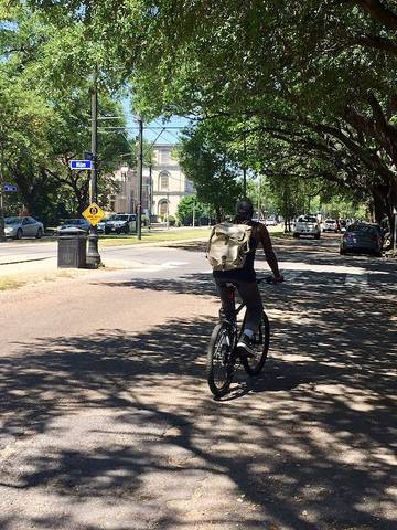 Vacation Home for 6 Guests in New Orleans, Orleans Parish, Picture 4