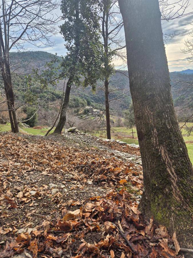 Location de vacances pour 2 personnes, avec vue et jardin à Saint-Germain-de-Calberte - 4