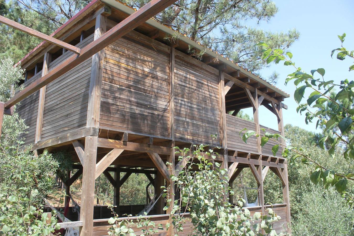 Ganzes Studio, Charmantes Studio in Matas mit Schwimmbad, 20 m² in Matas e Cercal, Santarém Distrikt