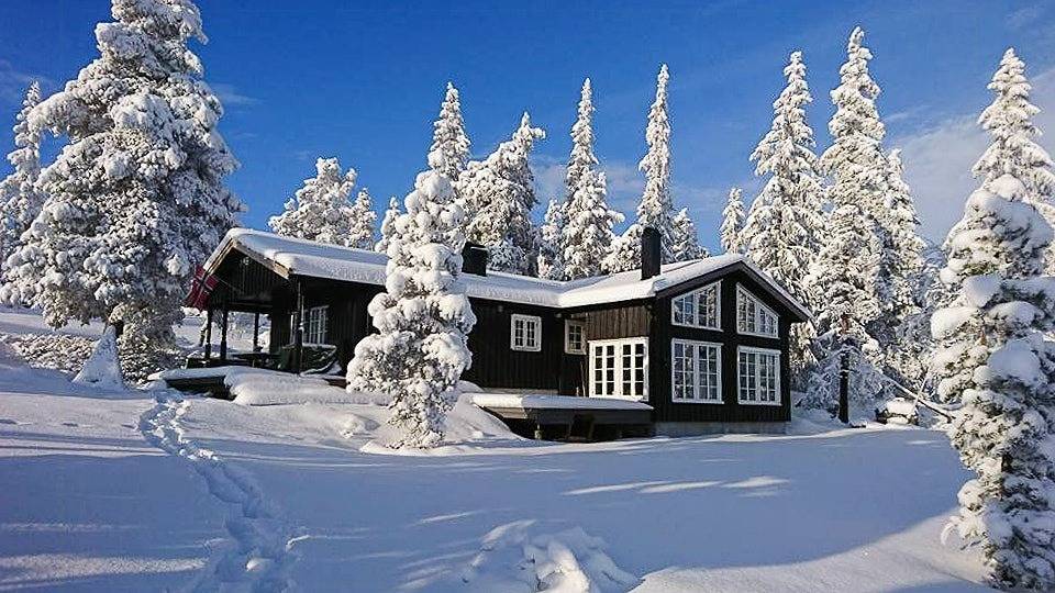 Cabaña en un entorno pintoresco en Blefjell in Flesberg