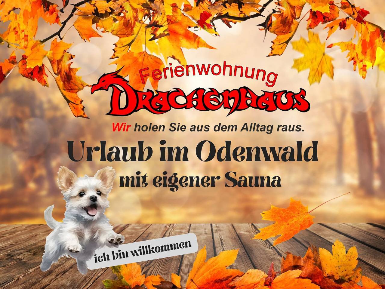 Ganze Ferienwohnung, Ferienwohnung Drachenhaus *Wir holen Sie aus dem Alltag raus - Ferienwohnung Drachenhaus in Rimbach, Bergstraße