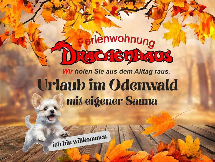 Ferienwohnung für 3 Personen, mit Terrasse und Garten sowie Sauna und Ausblick an der Bergstraße