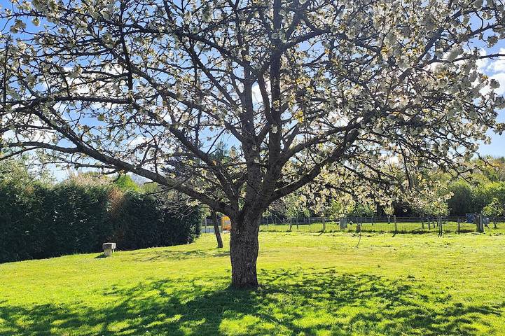 Maison de vacances pour 8 personnes