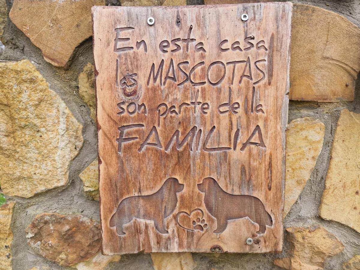 Posada Petfriendly El Molino de Cantabria - Hotel Rural B&B - in Entrambasaguas, Costa de Cantabria