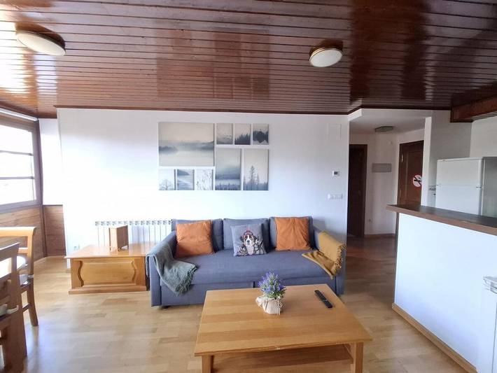 Gîte pour 5 personnes, avec vue dans Formigal - 4