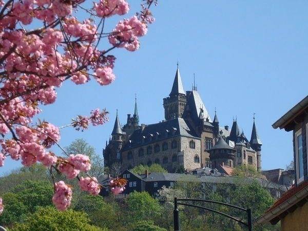 Ferienhaus für 6 Personen, mit Terrasse in Sachsen-Anhalt