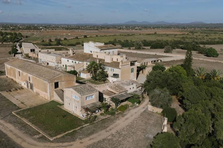 Ferienhaus für 3 Personen, mit Garten, mit Haustier in Campos - 4