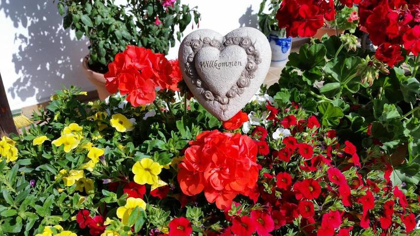 Maison d’hôte pour 2 personnes, avec terrasse ainsi que vue et jardin à Inzell - 3
