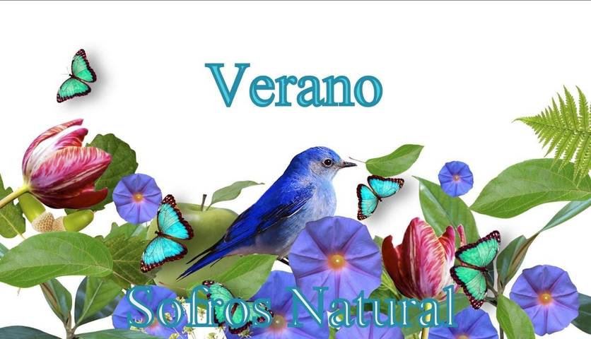 Casa rural para 6 personas, con jardín además de vistas y piscina, Se admiten mascotas en Comarca de Vigo - 3