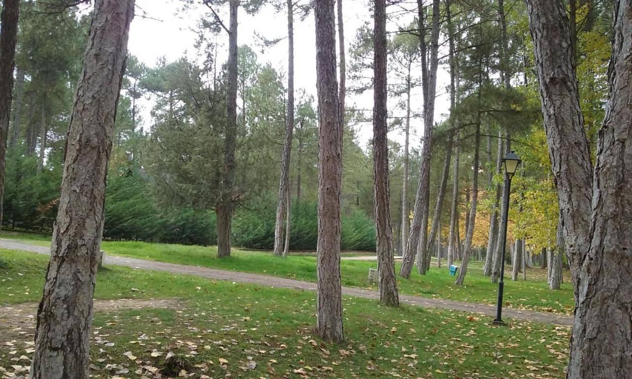Camping Caravaning Cuenca in Cuenca, Provincia de Cuenca