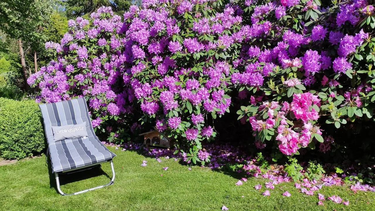 Ganze Ferienwohnung, Ferienwohnung für 6 Personen (70 m²) in Isny im Allgäu in Isny, Isny im Allgäu