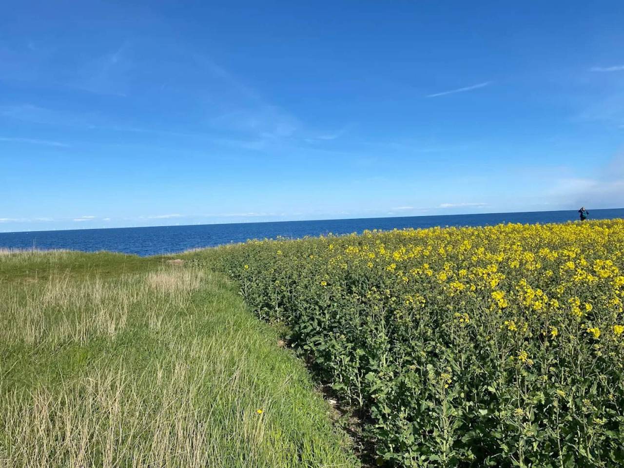 7 Personen Ferienhaus in Grenaa in Grenaa, Djursland