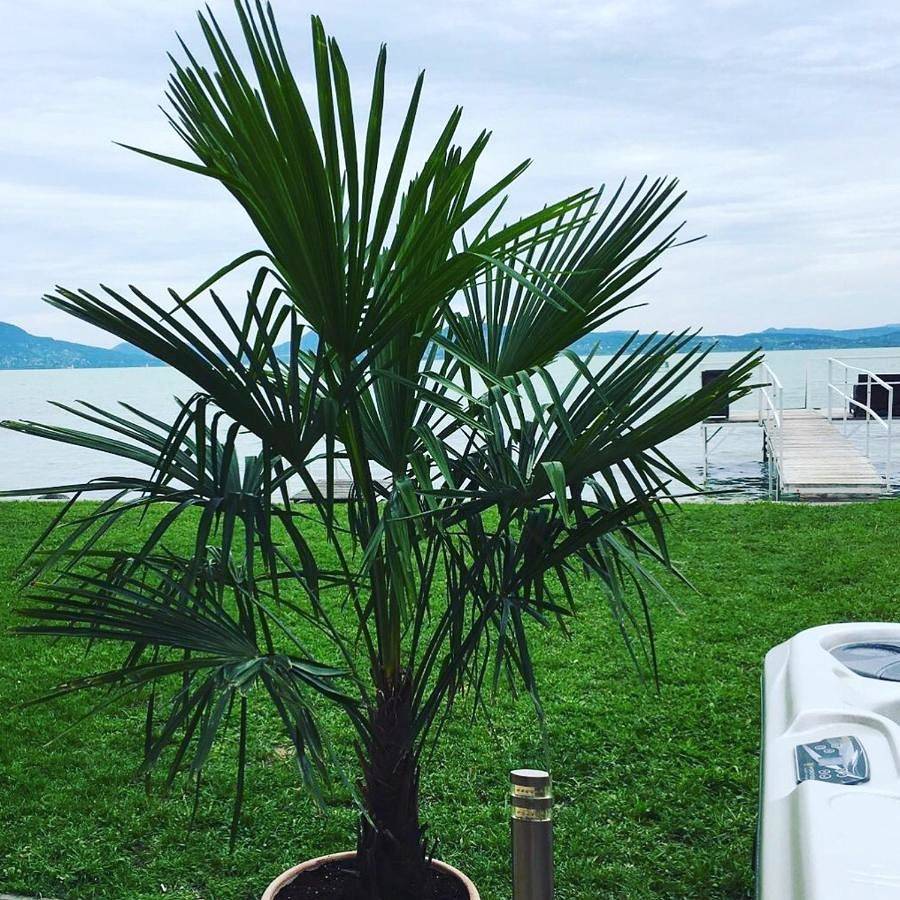 Deluxe Villa in Fonjod, Plattensee Südufer