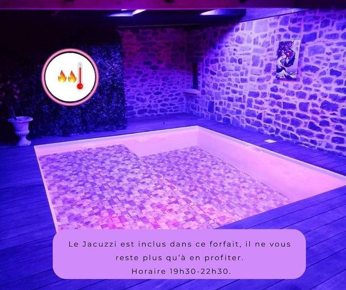 Location de vacances pour 3 personnes, avec piscine ainsi que jacuzzi et jardin à Tinténiac - 2