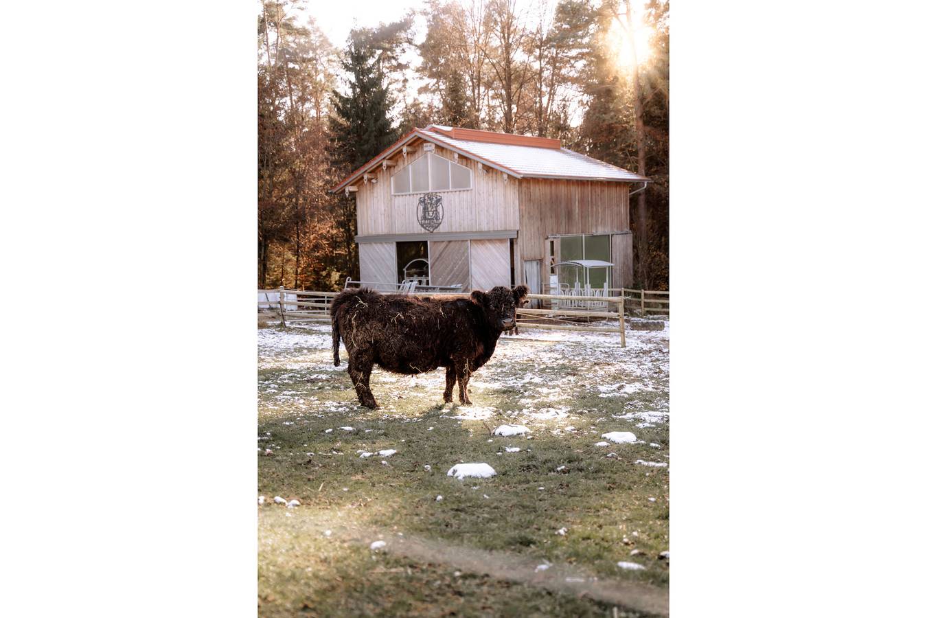 Ferienwohnung Weideblick Gänsberg - Ferienwohnung in Blaibach, Ostbayern