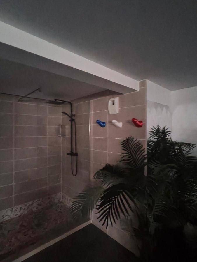 Maison d’hôte pour 2 personnes, avec piscine ainsi que jardin et jacuzzi dans le Tarn - 4