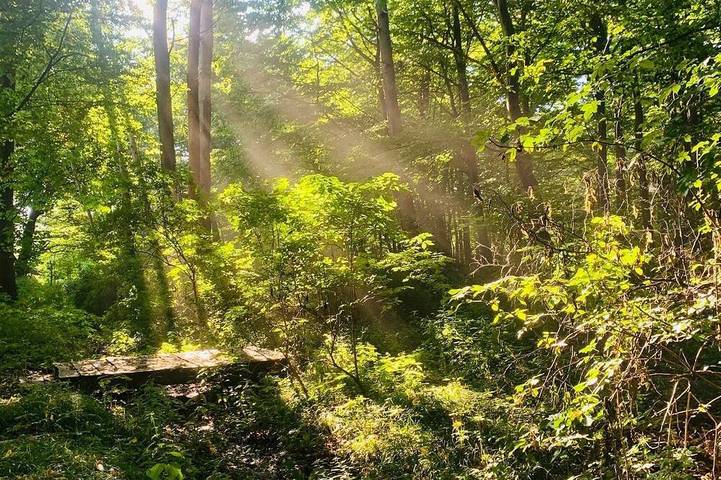 Ferienhaus für 50 Personen, mit Garten, mit Haustier in Boitzenburger Land