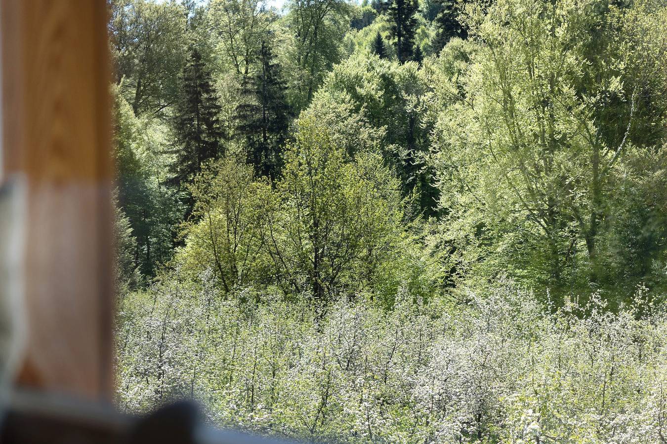 Auszeit im Argental – Ferienhaus Hagg nahe Bodensee in Neukirch, Region Bodensee-Oberschwaben