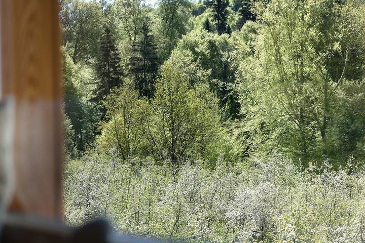 Time Out in Argental – Holiday Home Hagg near Lake Constance in Neukirch, Region Bodensee-Oberschwaben