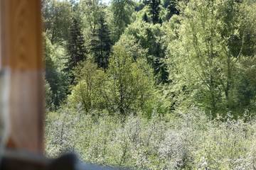Bauernhof für 4 Personen in Neukirch, Bodensee, Bild 4