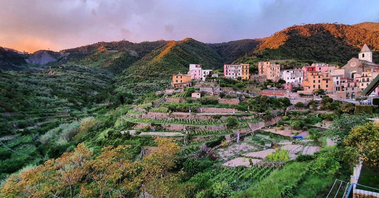 Arbanella in Corniglia, Vernazza Gemeente