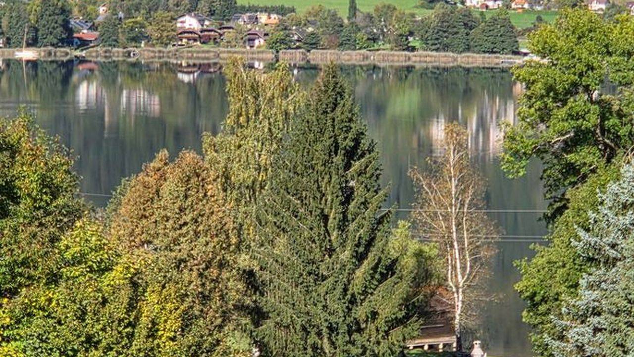 Apartamento vacacional entero, Ferienwohnung für 3 Personen (53 m²) in Ossiach in Ossiach, Oberkärnten