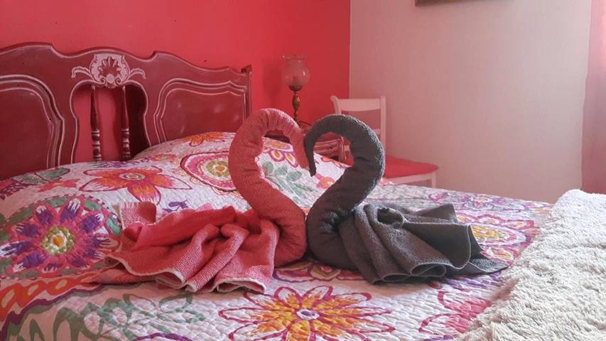 Gîte pour 2 personnes, avec jardin ainsi que piscine et vue sur le lac à Saint-Nazaire (Pyrénées-Orientales) - 4