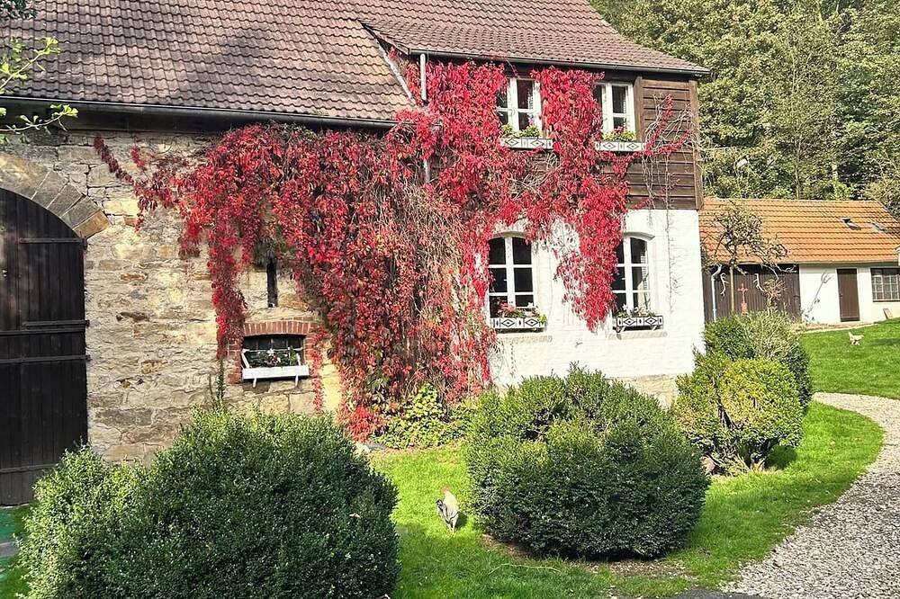 Altes Forstamt im Teutoburger Wald\nferienwohnung Kutscherstube in Altenbeken, Teutoburger Wald
