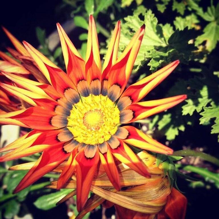 Vacation House for 6 Guests in West Cape May, Jersey Shore