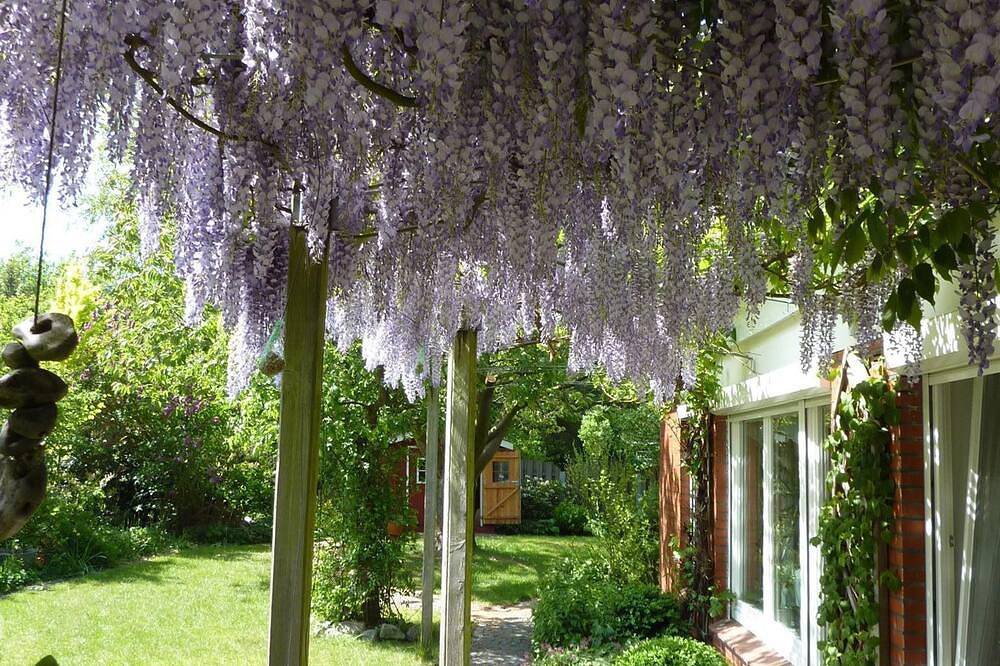 Hauptbild