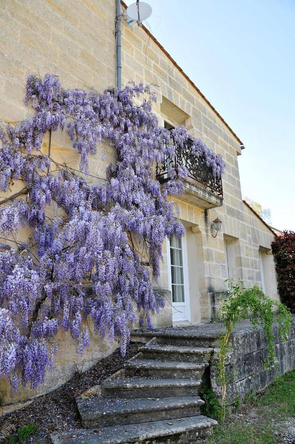 Location de vacances pour 3 personnes, avec piscine ainsi que jardin et terrasse à Laruscade - 2