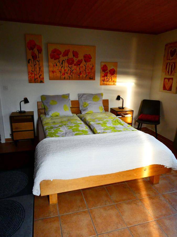 Gîte pour 4 personnes, avec vue ainsi que vue sur le lac et jardin à Blonay - 4