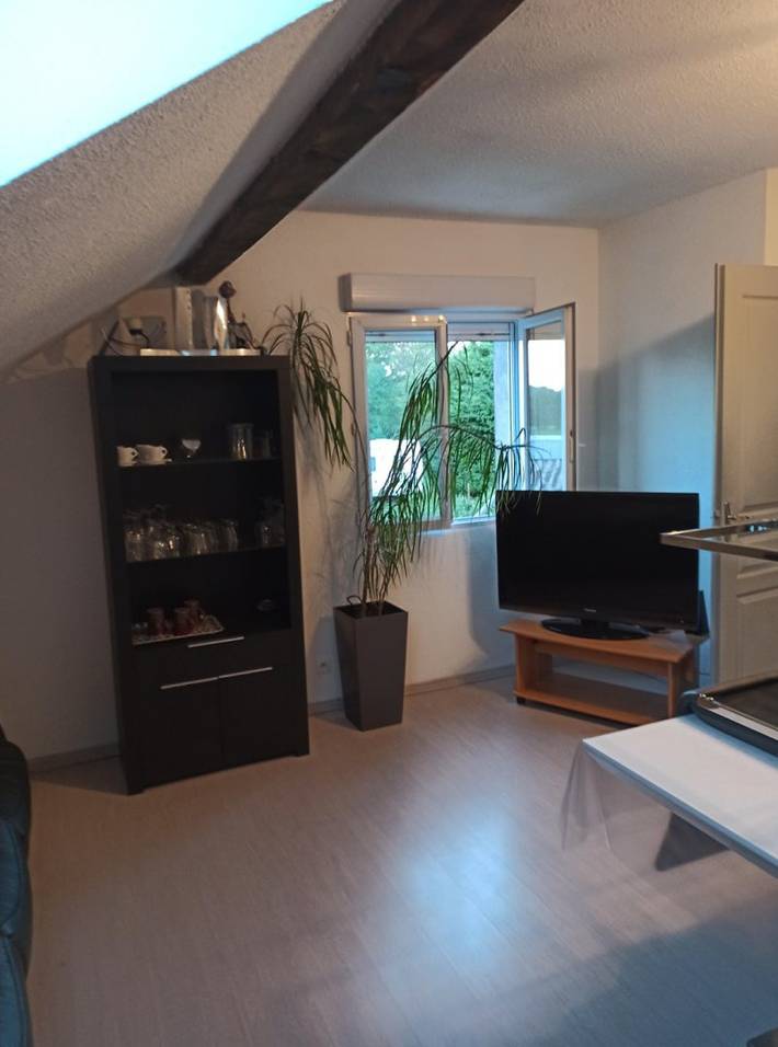 Appartement de vacances pour 4 personnes, avec terrasse dans Haute-Saône - 3