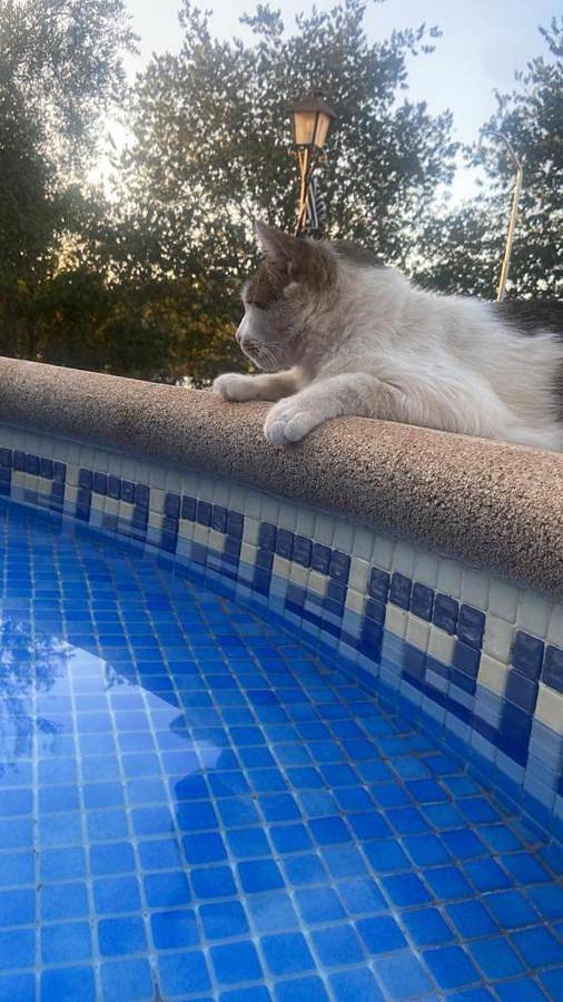 Casa rural para 6 personas, con piscina además de jardín y vistas en Córdoba - 2