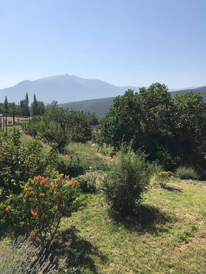 Gîte pour 2 personnes, avec vue et jardin à Molitg-les-Bains - 4