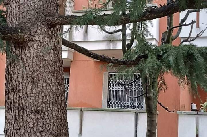 Ganze Wohnung, Bnbook Residenza Lo Scoiattolo in Rho, Mailand Provinz